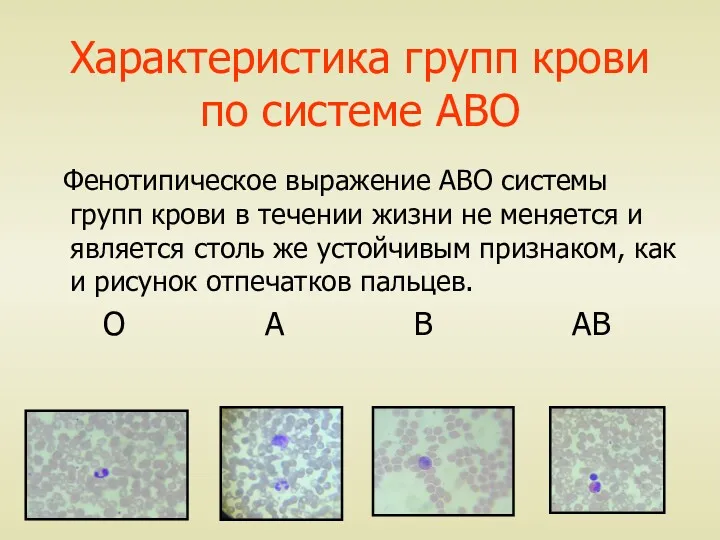 Характеристика групп крови по системе АВО Фенотипическое выражение АВО системы