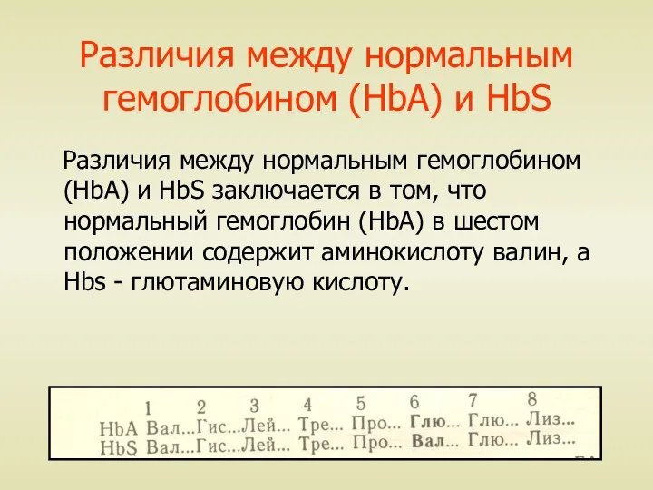 Различия между нормальным гемоглобином (HbA) и HbS Различия между нормальным