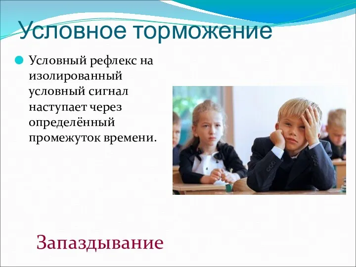 Условное торможение Условный рефлекс на изолированный условный сигнал наступает через определённый промежуток времени. Запаздывание