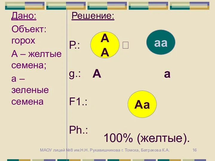 АА аа Аа А а 100% (желтые). МАОУ лицей №8 им.Н.Н. Рукавишникова г. Томска, Батракова К.А.