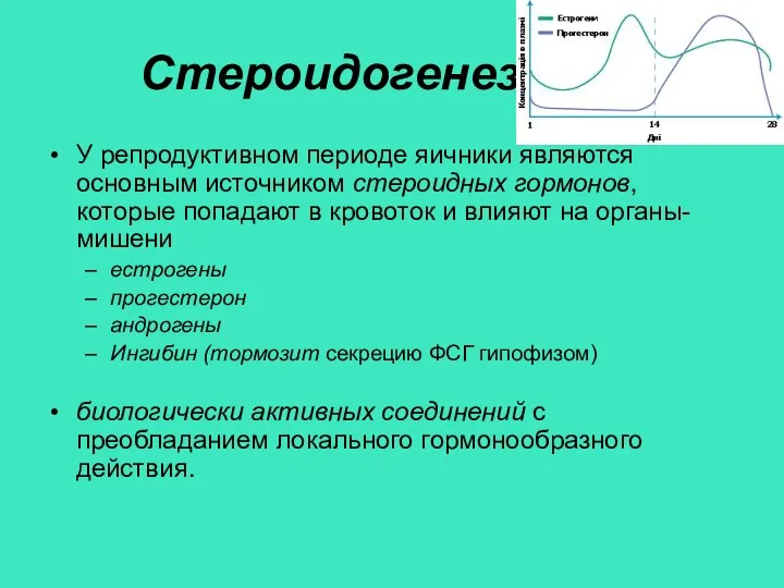 Стероидогенез У репродуктивном периоде яичники являются основным источником стероидных гормонов,