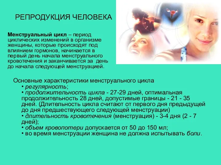 РЕПРОДУКЦИЯ ЧЕЛОВЕКА Основные характеристики менструального цикла • регулярность; • продолжительность