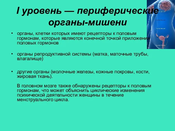 органы, клетки которых имеют рецепторы к половым гормонам, которые являются