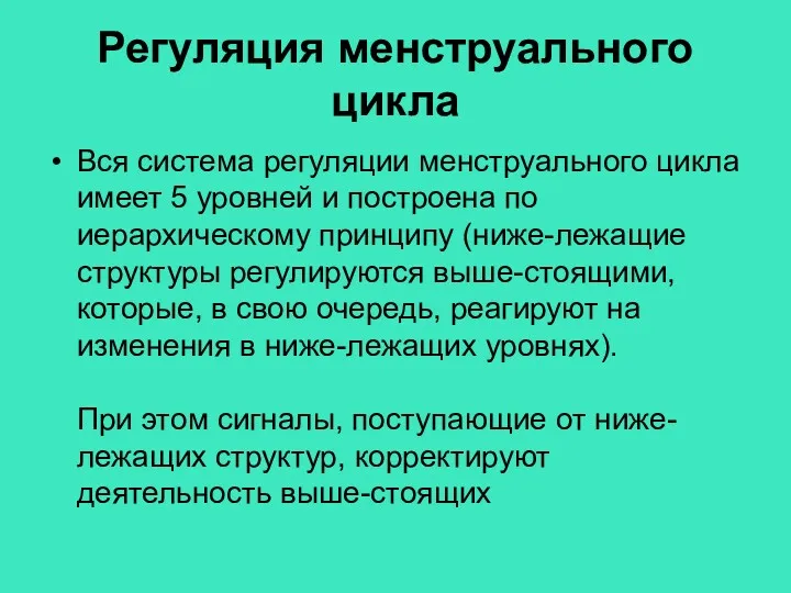 Регуляция менструального цикла Вся система регуляции менструального цикла имеет 5