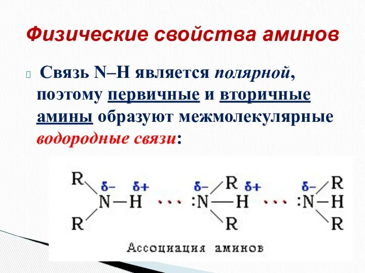 Связь N–H является полярной, поэтому первичные и вторичные амины образуют межмолекулярные водородные связи: Физические свойства аминов