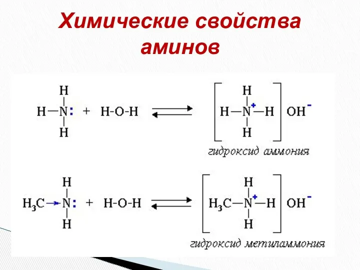 Химические свойства аминов