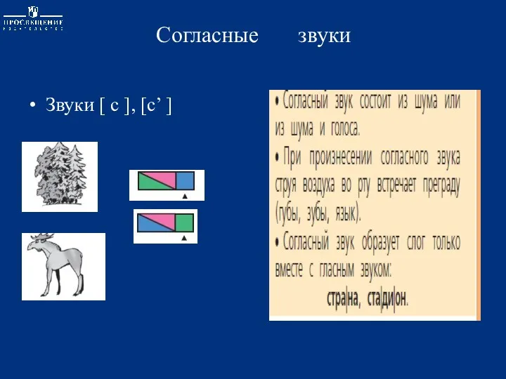 Согласные звуки Звуки [ с ], [с’ ]