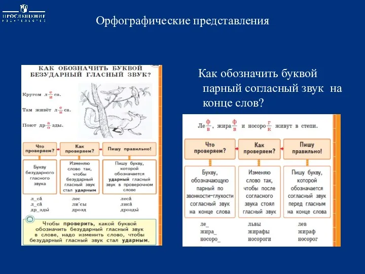 Орфографические представления Как обозначить буквой парный согласный звук на конце слов?