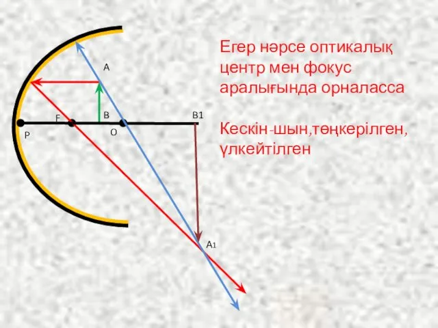 A1 B A O F P Егер нәрсе оптикалық центр мен фокус аралығында орналасса Кескін-шын,төңкерілген,үлкейтілген B1