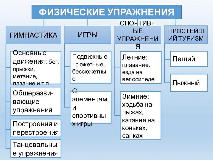 ФИЗИЧЕСКИЕ УПРАЖНЕНИЯ ГИМНАСТИКА ИГРЫ СПОРТИВНЫЕ УПРАЖНЕНИЯ ПРОСТЕЙШИЙ ТУРИЗМ Основные движения: