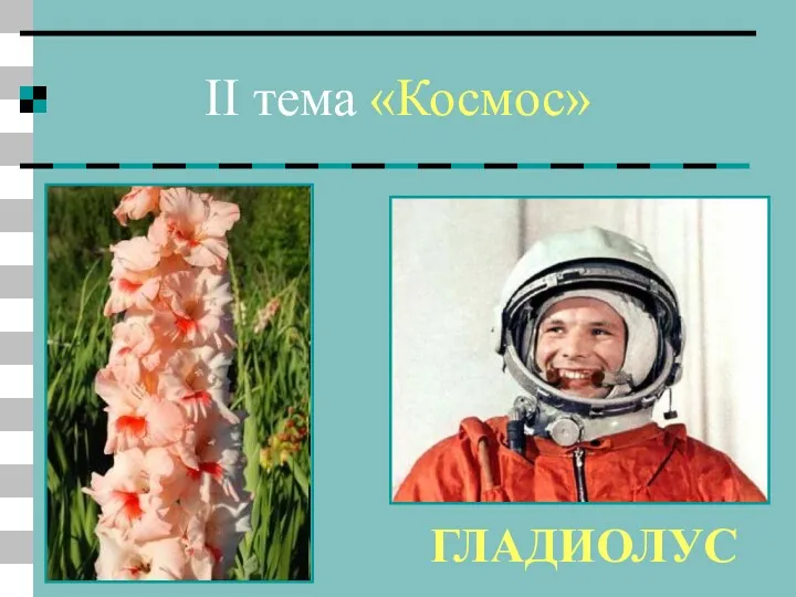 II тема «Космос» 10 вопрос Сорт каких цветов назван «Улыбка Гагарина»? ГЛАДИОЛУС