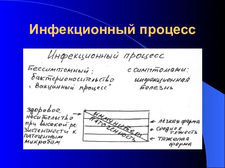 Инфекционный процесс