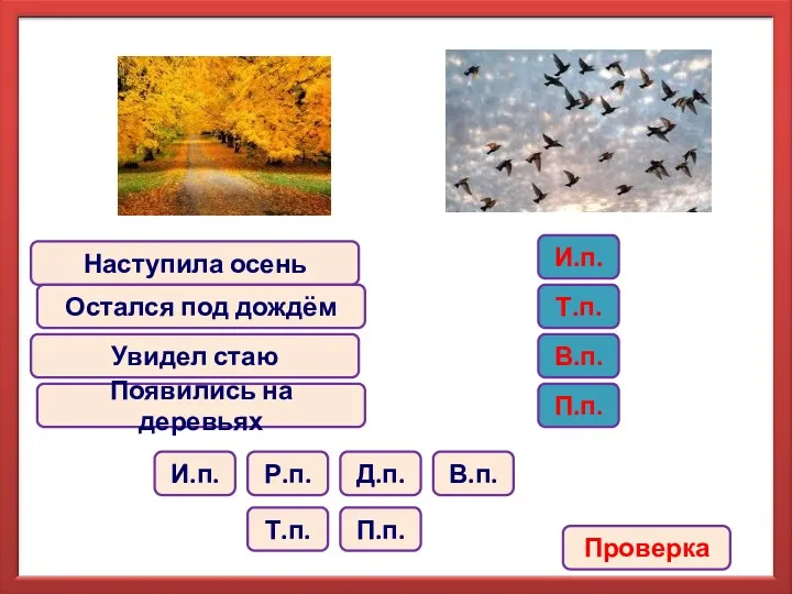 Наступила осень Остался под дождём Увидел стаю Появились на деревьях