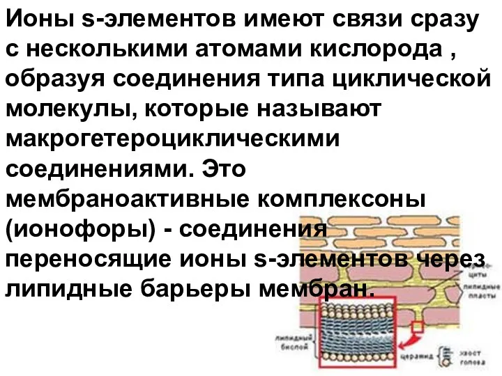 Ионы s-элементов имеют связи сразу с несколькими атомами кислорода ,