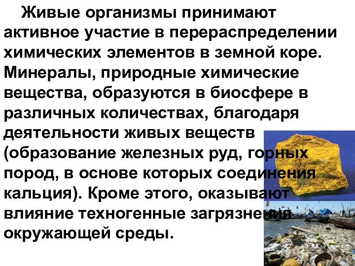 Живые организмы принимают активное участие в перераспределении химических элементов в