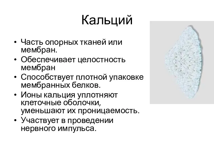 Кальций Часть опорных тканей или мембран. Обеспечивает целостность мембран Способствует