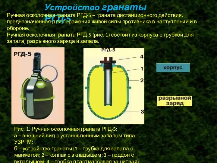 Устройство гранаты РГД-5 Ручная осколочная граната РГД-5 – граната дистанционного