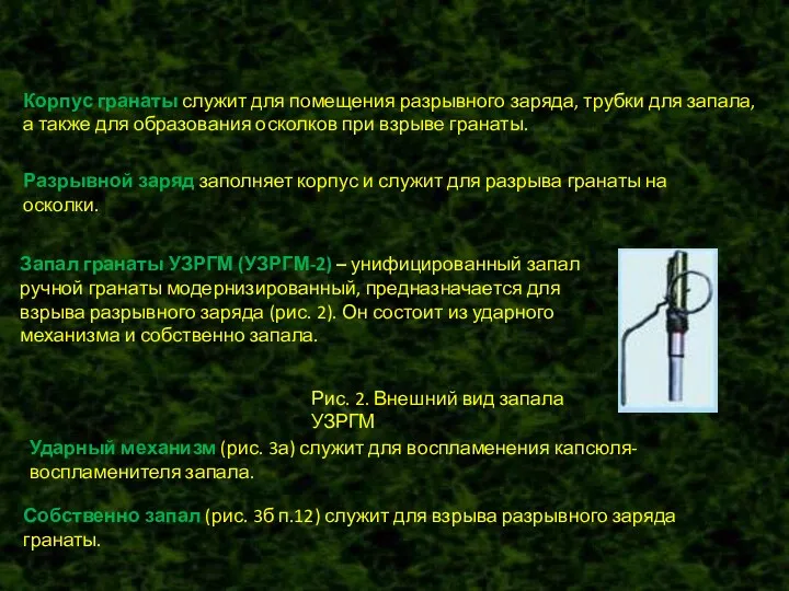 Корпус гранаты служит для помещения разрывного заряда, трубки для запала,