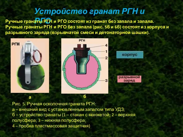 Устройство гранат РГН и РГО Ручные гранаты РГН и РГО