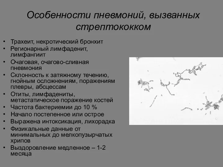 Особенности пневмоний, вызванных стрептококком Трахеит, некротический бронхит Регионарный лимфаденит, лимфангиит