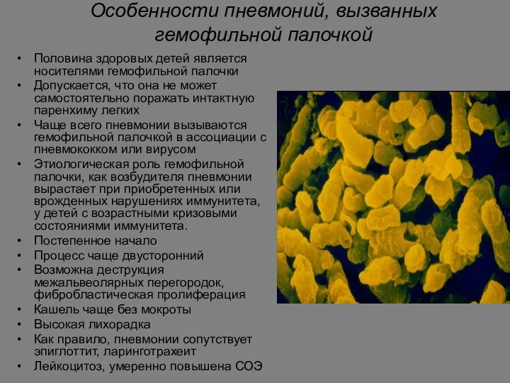 Особенности пневмоний, вызванных гемофильной палочкой Половина здоровых детей является носителями гемофильной палочки Допускается,