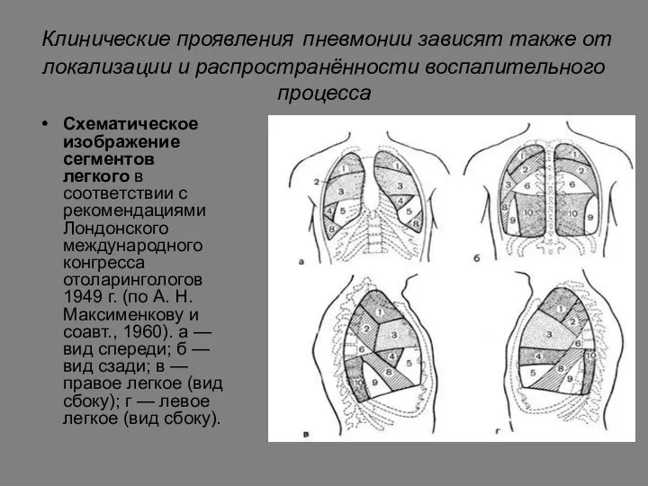 Клинические проявления пневмонии зависят также от локализации и распространённости воспалительного