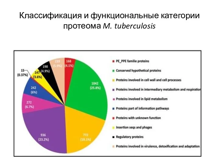 Классификация и функциональные категории протеома M. tuberculosis