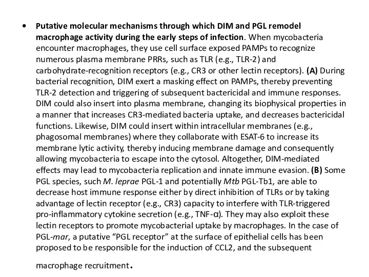 Putative molecular mechanisms through which DIM and PGL remodel macrophage