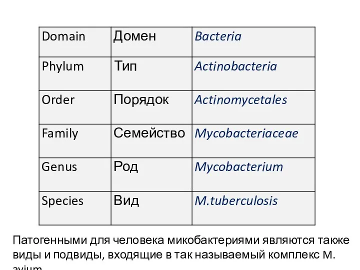 Патогенными для человека микобактериями являются также виды и подвиды, входящие в так называемый комплекс M. avium.