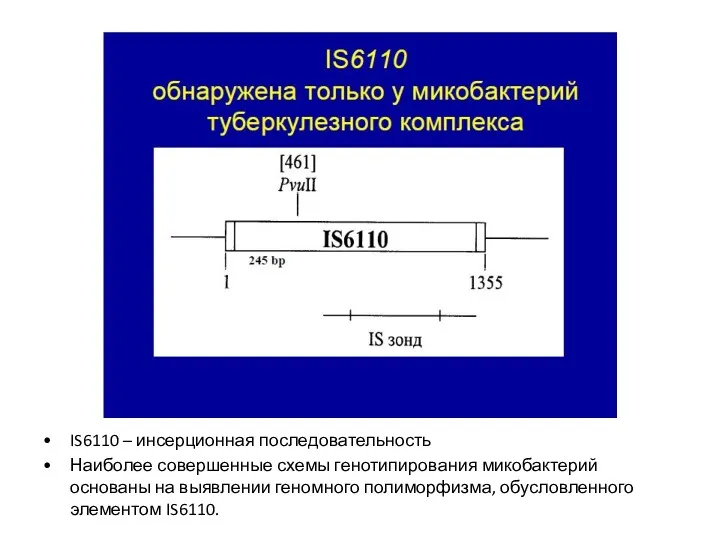 IS6110 – инсерционная последовательность Наиболее совершенные схемы генотипирования микобактерий основаны