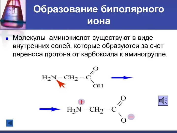 Образование биполярного иона Молекулы аминокислот существуют в виде внутренних солей,