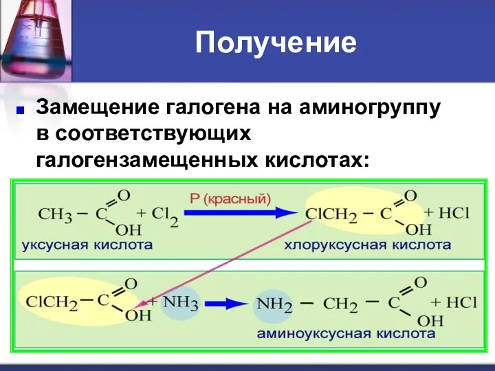 Получение Замещение галогена на аминогруппу в соответствующих галогензамещенных кислотах: