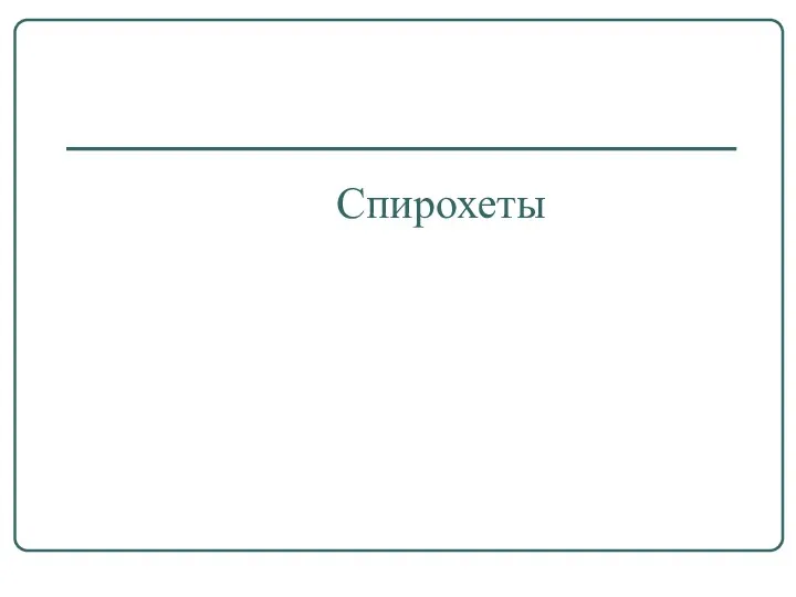 Спирохеты. Таксономия спирохет,имеющих клиническое значение