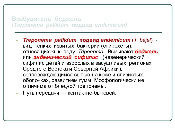 Treponema pallidum подвид endemicum (T. bejel) - вид тонких извитых