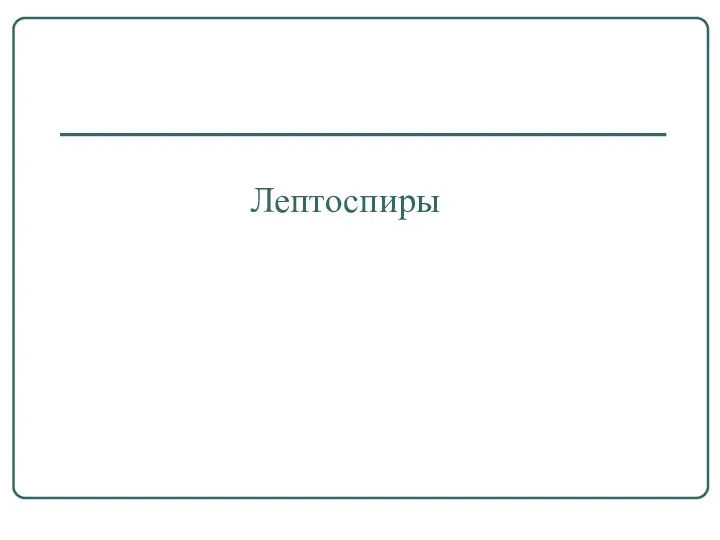 Лептоспиры