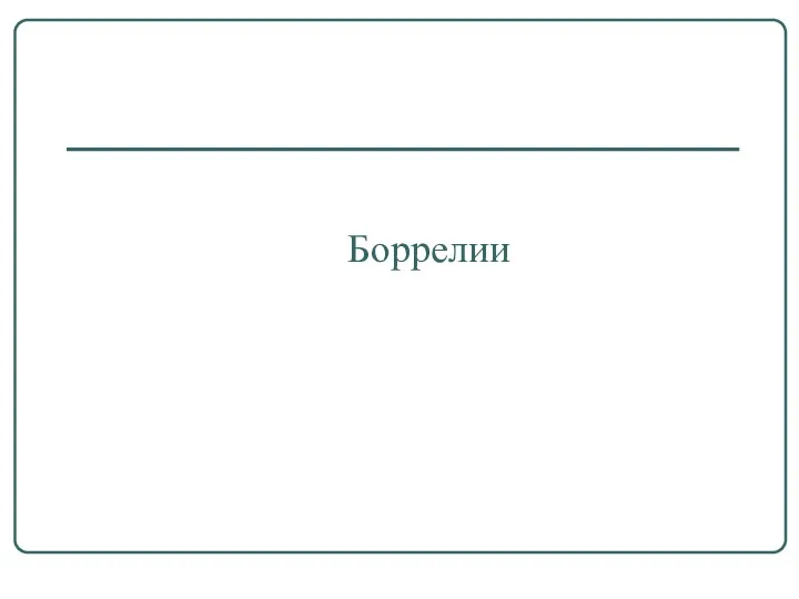 Боррелии