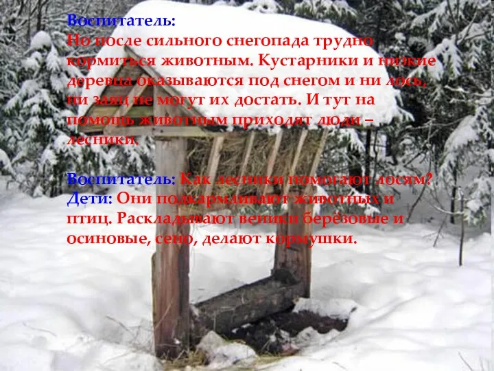 Воспитатель: Но после сильного снегопада трудно кормиться животным. Кустарники и