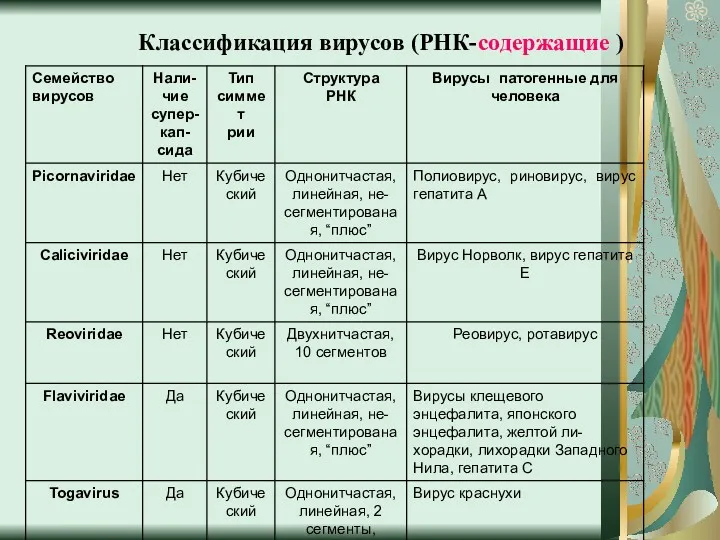 Классификация вирусов (РНК-содержащие )