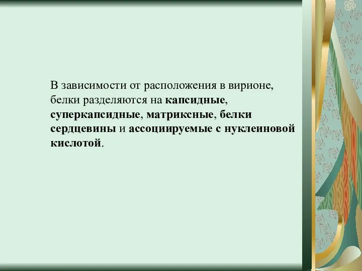 В зависимости от расположения в вирионе, белки разделяются на капсидные,