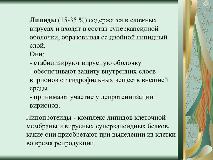 Липиды (15-35 %) содержатся в сложных вирусах и входят в