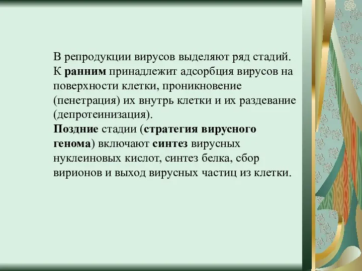 В репродукции вирусов выделяют ряд стадий. К ранним принадлежит адсорбция