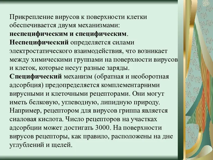 Прикрепление вирусов к поверхности клетки обеспечивается двумя механизмами: неспецифическим и