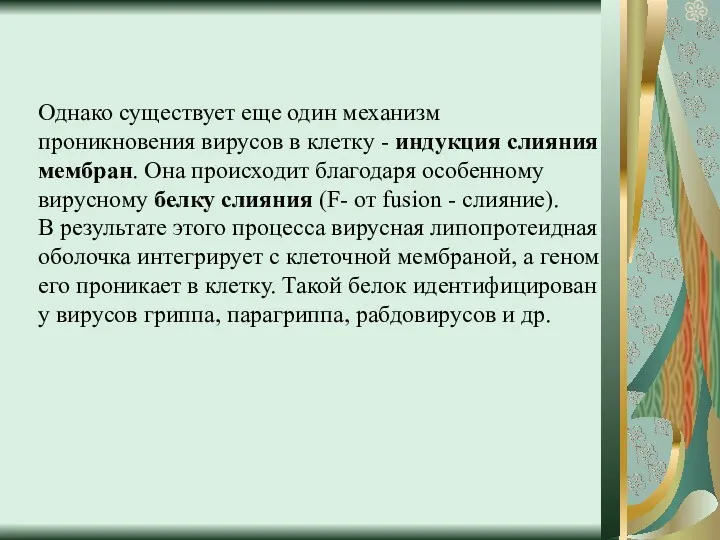 Однако существует еще один механизм проникновения вирусов в клетку -