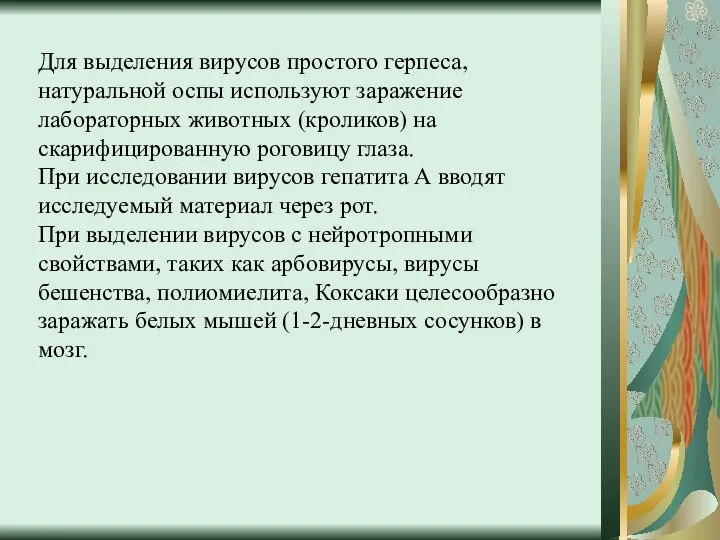 Для выделения вирусов простого герпеса, натуральной оспы используют заражение лабораторных