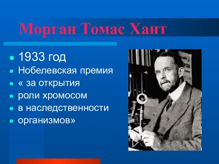 Морган Томас Хант 1933 год Нобелевская премия « за открытия роли хромосом в наследственности организмов»
