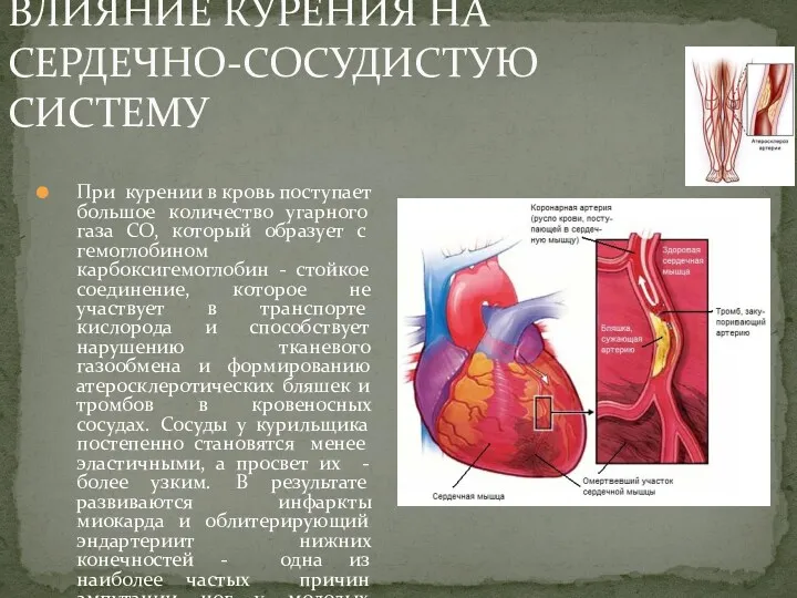 ВЛИЯНИЕ КУРЕНИЯ НА СЕРДЕЧНО-СОСУДИСТУЮ СИСТЕМУ При курении в кровь поступает