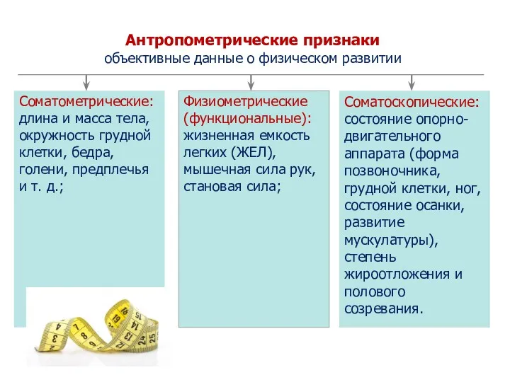 Соматоскопические: состояние опорно-двигательного аппарата (форма позвоночника, грудной клетки, ног, состояние