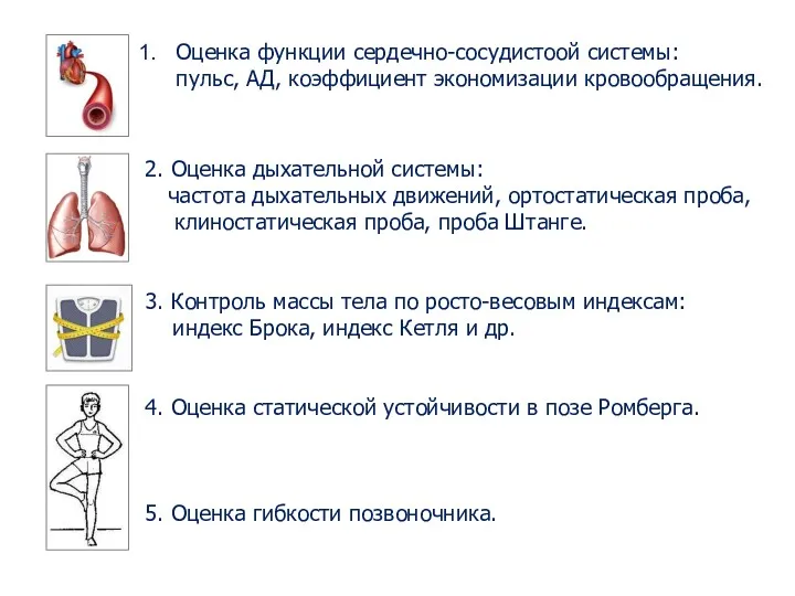 Оценка функции сердечно-сосудистоой системы: пульс, АД, коэффициент экономизации кровообращения. 2.