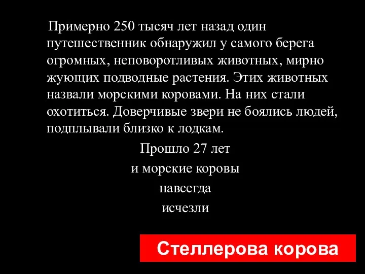 Стеллерова корова Примерно 250 тысяч лет назад один путешественник обнаружил