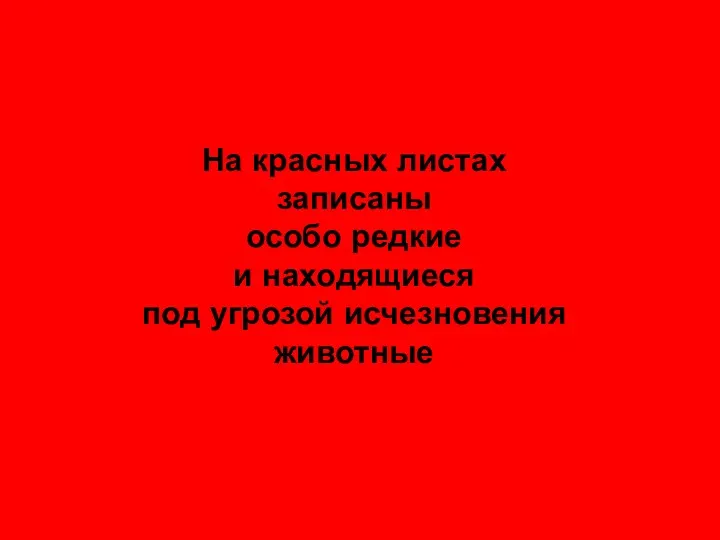 На красных листах записаны особо редкие и находящиеся под угрозой исчезновения животные